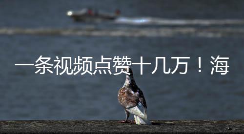一條視頻點贊十幾萬！海寧這位女主播受熱捧！全國粉絲趕來，要做她的…
