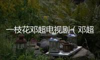 一枝花鄧超電視劇（鄧超電視劇）