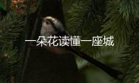 一朵花讀懂一座城