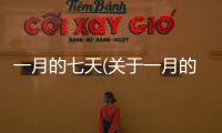 一月的七天(關(guān)于一月的七天簡述)