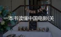 一本書讀懂中國電影(關于一本書讀懂中國電影簡述)