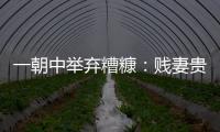 一朝中舉棄糟糠：賤妻貴妾(關(guān)于一朝中舉棄糟糠：賤妻貴妾簡述)