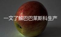 一文了解巴巴萊斯科生產(chǎn)聯(lián)盟