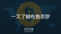 一文了解布魯奈羅