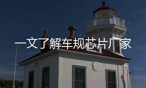 一文了解車規芯片廠家