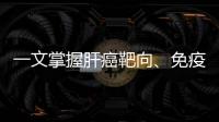 一文掌握肝癌靶向、免疫治療藥物