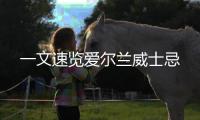 一文速覽愛爾蘭威士忌