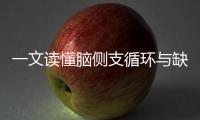 一文讀懂腦側支循環與缺血性卒中的千絲萬縷！