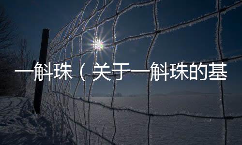 一斛珠（關于一斛珠的基本情況說明介紹）