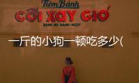 一斤的小狗一頓吃多少(兩個(gè)月的小狗一頓吃多少)