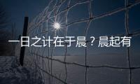 一日之計在于晨？晨起有哪些好習慣，有助于健康養生？