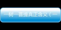 一樹一菩提真正含義（一樹一菩提）