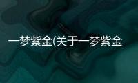 一夢紫金(關(guān)于一夢紫金簡述)