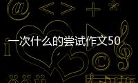 一次什么的嘗試作文500字 優(yōu)秀獎（一次什么的嘗試作文500字）
