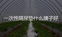 一次性隔尿墊什么牌子好