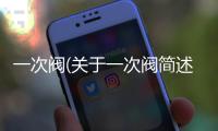 一次閥(關于一次閥簡述)