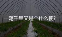 一瀉千里又是個什么梗?