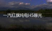 一汽紅旗純電H5曝光 尺寸超過比亞迪漢