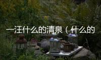 一汪什么的清泉（什么的清泉）