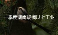 一季度湖南規(guī)模以上工業(yè)企業(yè)實(shí)現(xiàn)利潤(rùn)同比增長(zhǎng)25.7%%