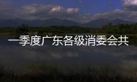 一季度廣東各級(jí)消委會(huì)共接訴逾9.3萬(wàn)件