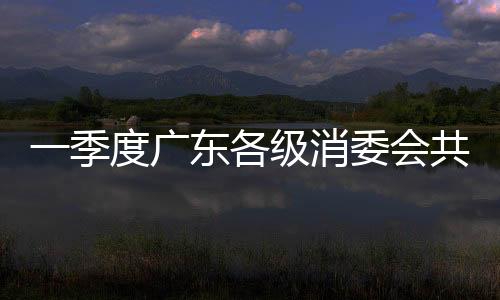 一季度廣東各級消委會共接訴逾9.3萬件