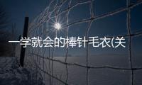 一學就會的棒針毛衣(關于一學就會的棒針毛衣簡述)