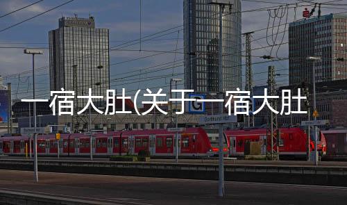 一宿大肚(關于一宿大肚簡述)
