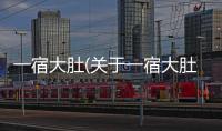 一宿大肚(關(guān)于一宿大肚簡(jiǎn)述)