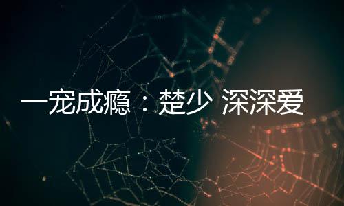 一寵成癮：楚少 深深愛(關(guān)于一寵成癮：楚少 深深愛簡(jiǎn)述)
