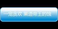 一寵貪歡 黑道帝王的蝕骨纏綿(關(guān)于一寵貪歡 黑道帝王的蝕骨纏綿簡(jiǎn)述)