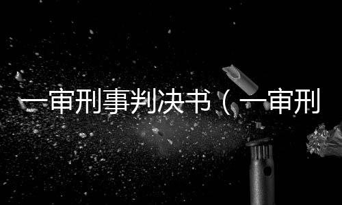 一審刑事判決書（一審刑事判決書）