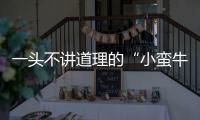 一頭不講道理的“小蠻牛” 試駕幾何EX3