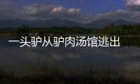 一頭驢從驢肉湯館逃出 店員騎著電動車跟在驢后面緊追不舍