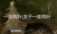 一夜兩葉(關(guān)于一夜兩葉簡(jiǎn)述)