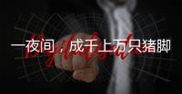 一夜間，成千上萬只豬腳“跑到”沙灘，警方介入調查