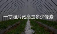 一寸照片寬高是多少像素（一寸照片尺寸像素寬高）
