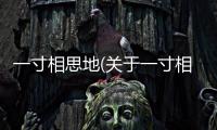 一寸相思地(關(guān)于一寸相思地簡(jiǎn)述)