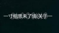 一寸相思未了情(關(guān)于一寸相思未了情簡(jiǎn)述)