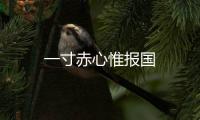 一寸赤心惟報國