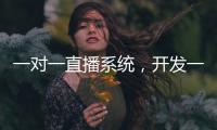 一對一直播系統，開發一對一視頻交友系統源碼的解決方案
