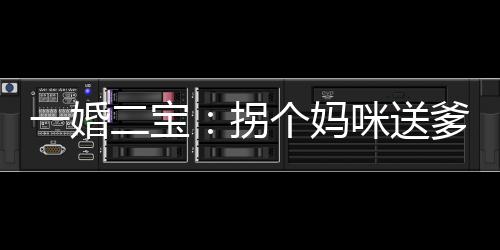 一婚二寶：拐個媽咪送爹地(關于一婚二寶：拐個媽咪送爹地簡述)