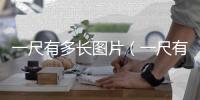 一尺有多長圖片（一尺有多長）