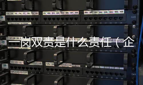 一崗雙責是什么責任（企業一崗雙責是指什么）