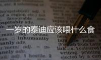 一歲的泰迪應該喂什么食物？一歲的泰迪吃什么狗糧好