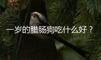 一歲的臘腸狗吃什么好？一歲的臘腸狗吃什么好消化