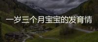 一歲三個月寶寶的發育情況詳解