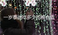 一歲泰迪吃多少狗糧合適