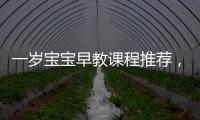 一歲寶寶早教課程推薦，讓寶寶健康成長