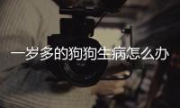 一歲多的狗狗生病怎么辦啊(一歲多的狗狗生病怎么辦呀)